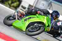 Advanced Group Green Bikes